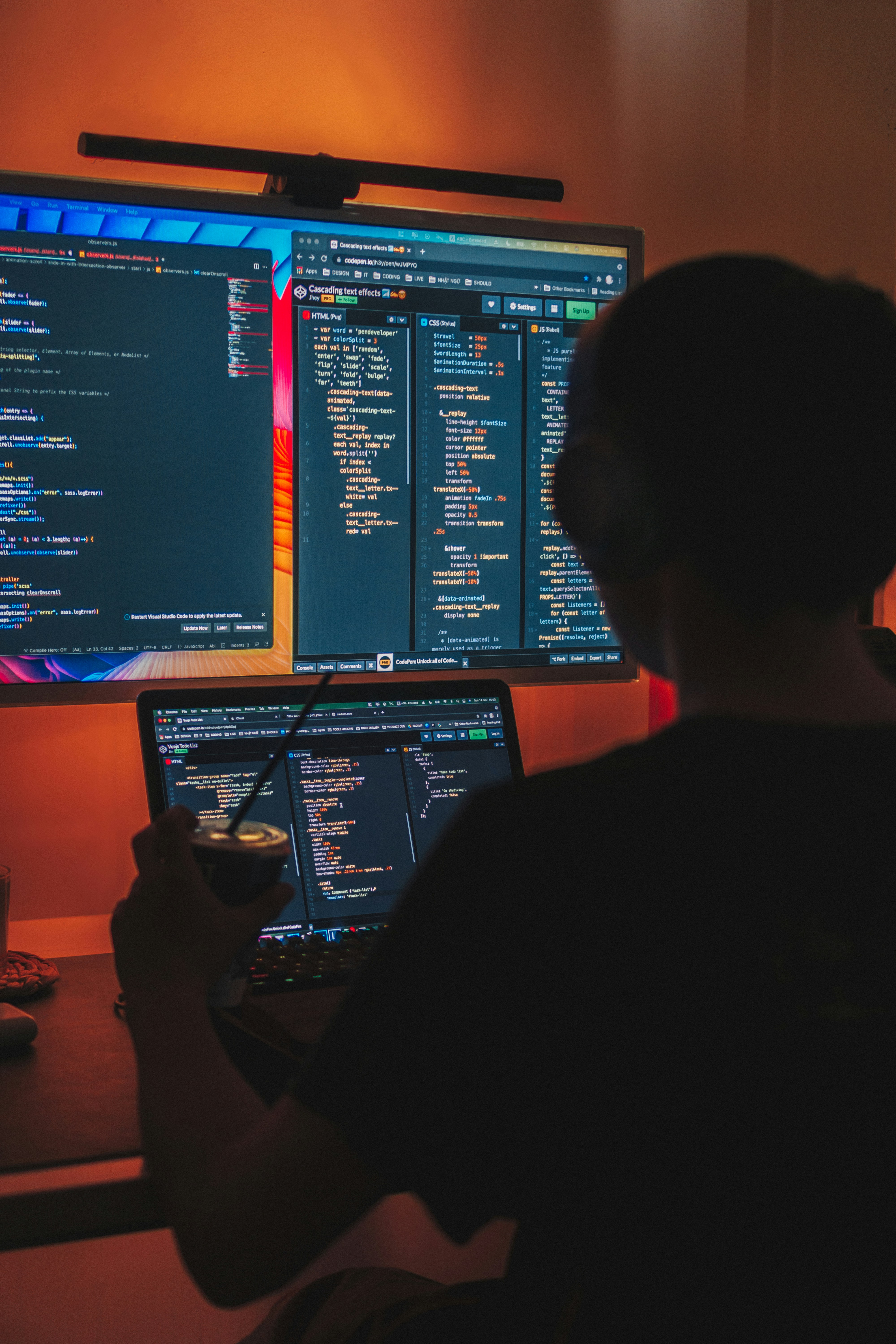 Web Development